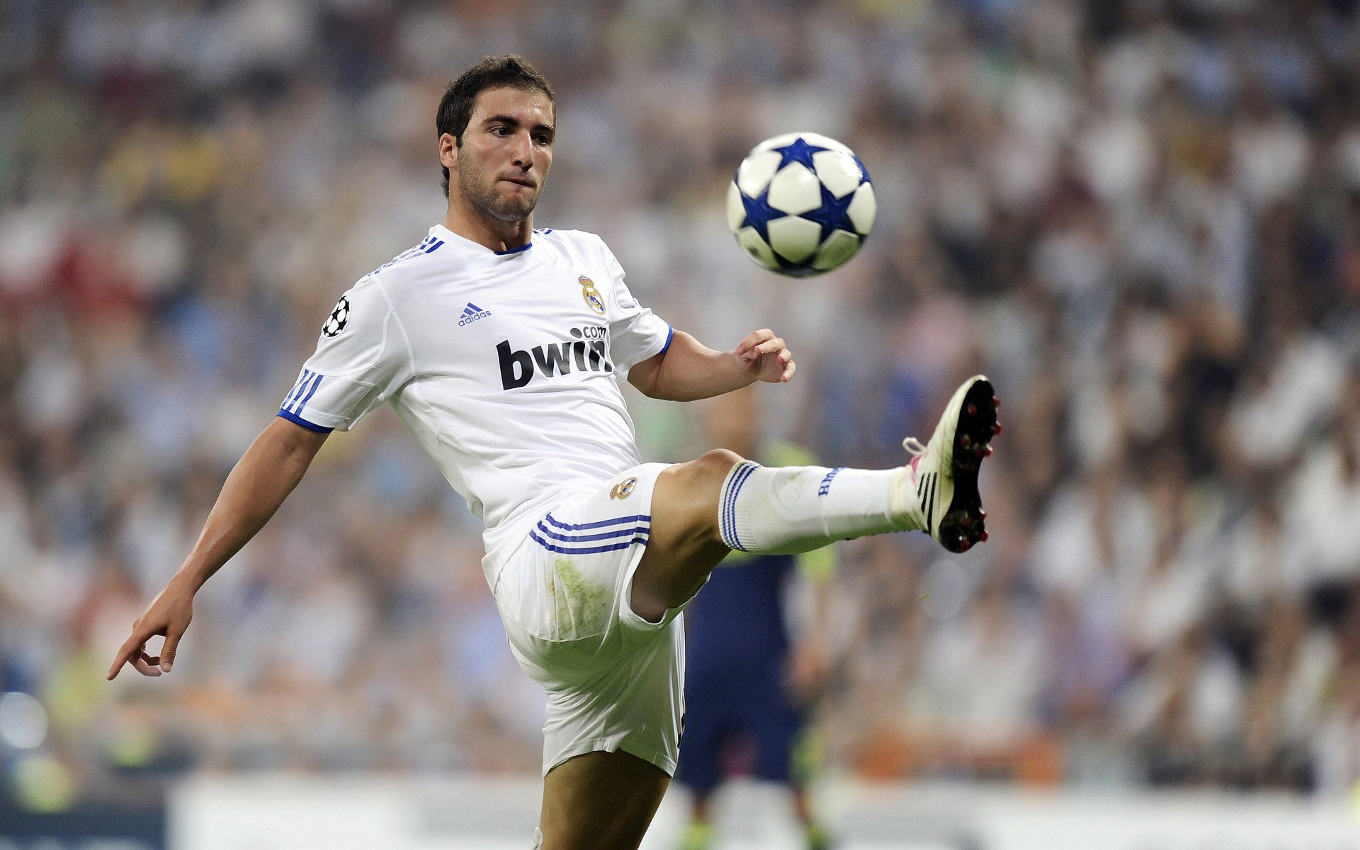 “传奇教练：他们的战术理念和成功秘诀”，传奇教练徽章